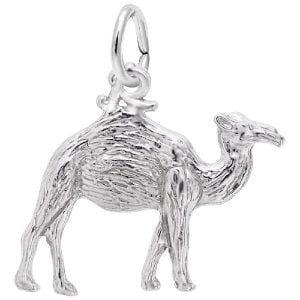 camel silver charm