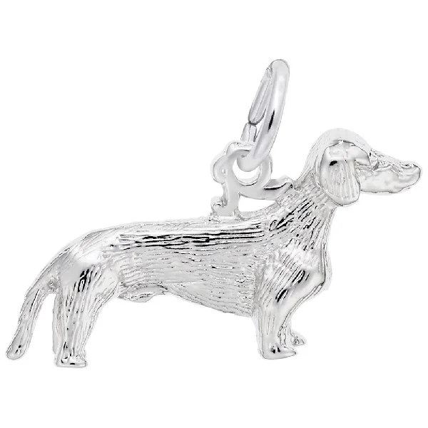 Dachshund