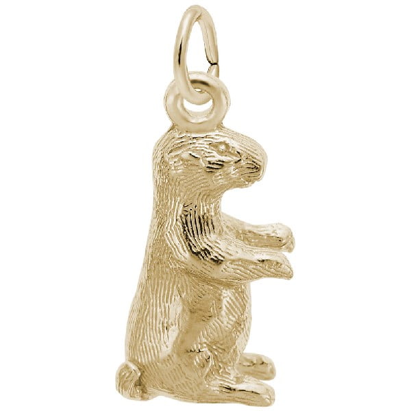 gold groundhog charm