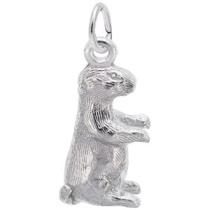silver groundhog charm
