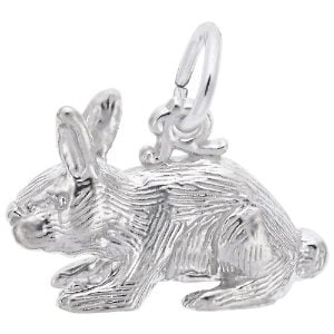 silver rabbit charm