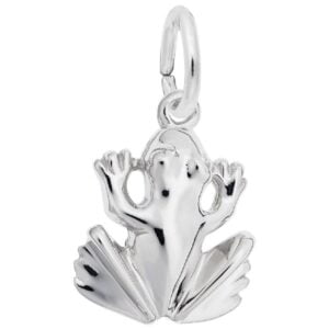 silver frog charm