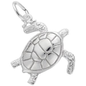 Sea Turtle