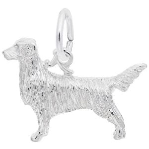 silver retriever charm