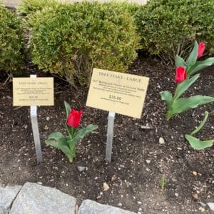 Engraved Tree Plaque & Stake