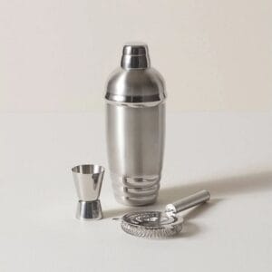 lenox stainless steel shaker set
